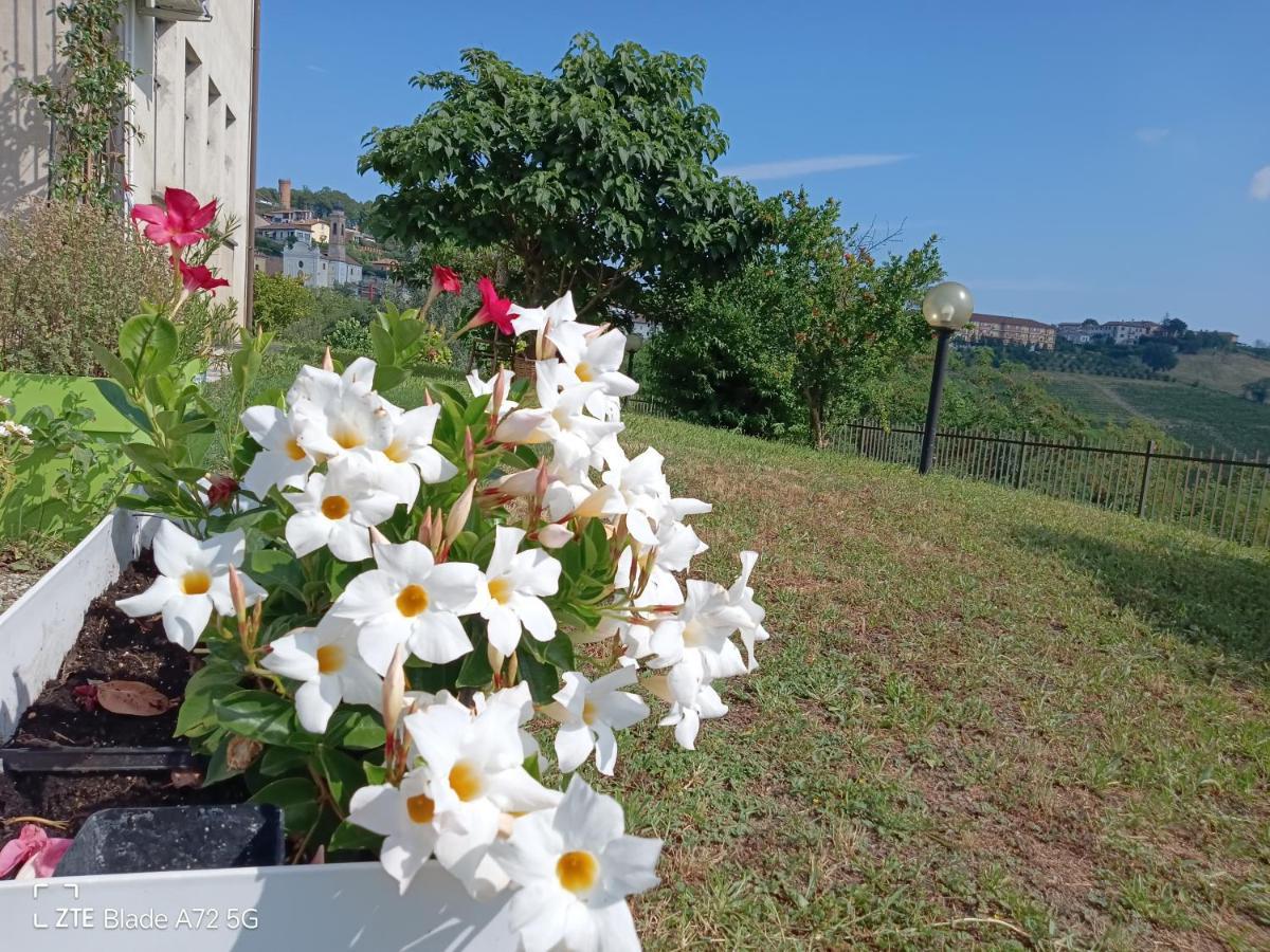 Maison Younesco - Villa Indipendente Exclusive Castagnole delle Lanze Luaran gambar