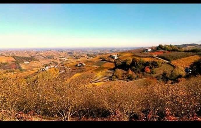 Maison Younesco - Villa Indipendente Exclusive Castagnole delle Lanze Luaran gambar